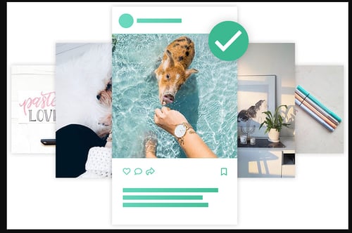 Apps para monitorear Instagram- Squarelovin
