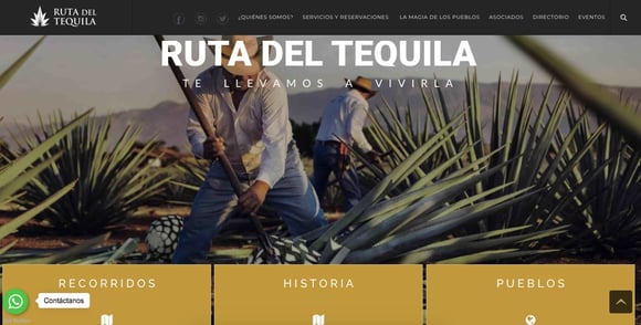 Ejemplo de campaña de Google Ads (AdWords) de Ruta del Tequila