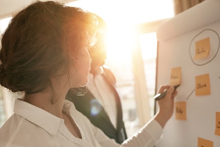 Investiga las funciones de un project manager o gerente de proyectos