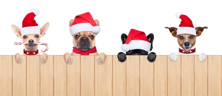 Cómo fidelizar clientes en navidad: guía completa 2025