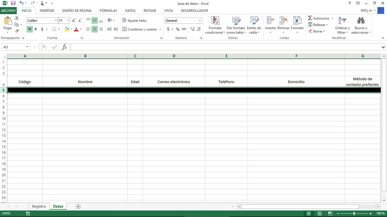 Pasos para una base de datos en Excel: columnas de datos