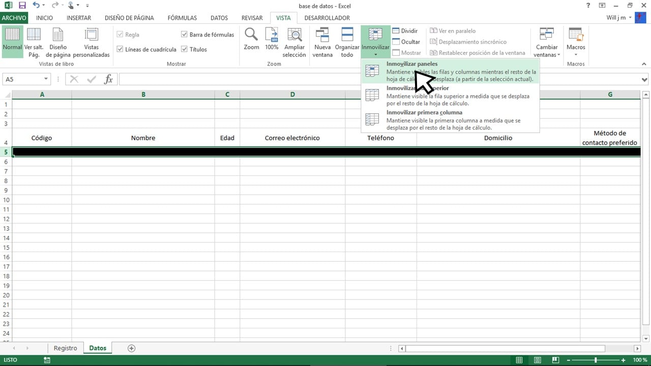 Inmovilizar paneles de documento de Excel para base de datos