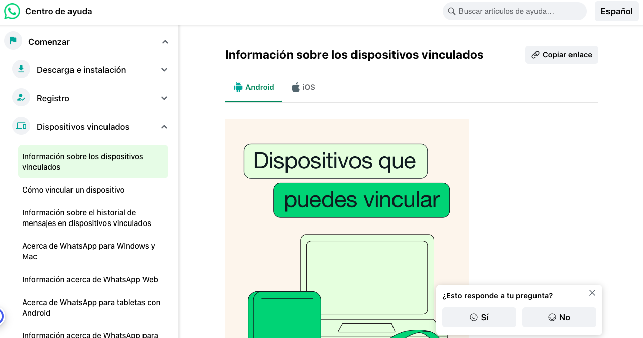 Ideas de contenidos
