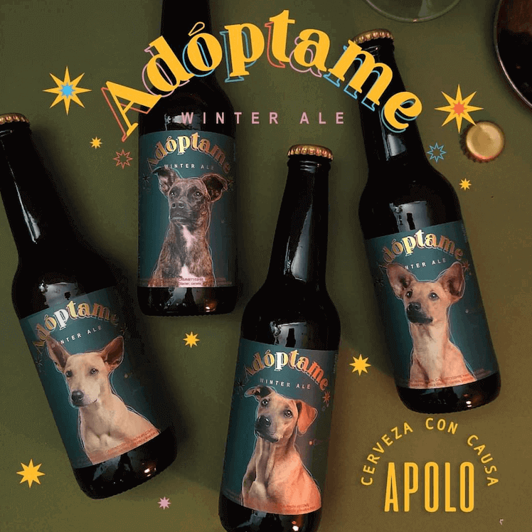 branding ejemplo: Cerveza Apolo