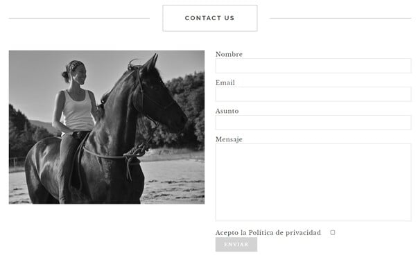 Ejemplo de cómo hacer una página web: agregar formulario de contacto