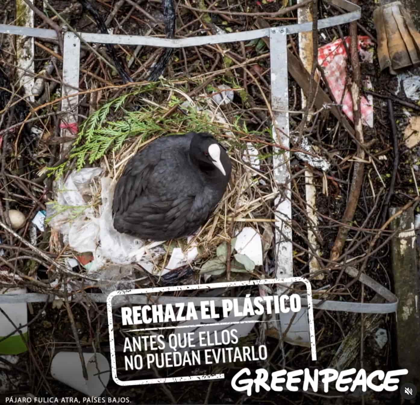 Ejemplo de diseño publicitario extraordinario de Greenpeace Chile