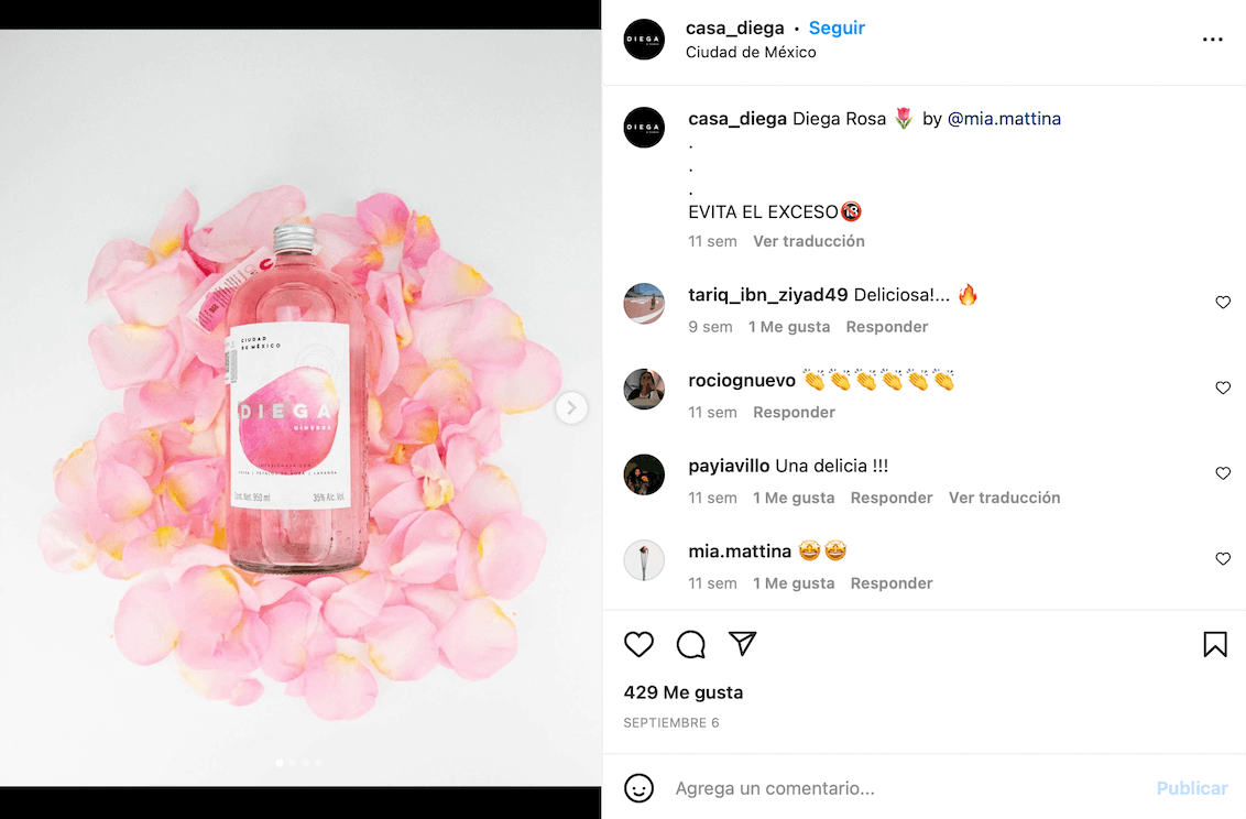 Ejemplo de foto de producto en Instagram: Casa Diega