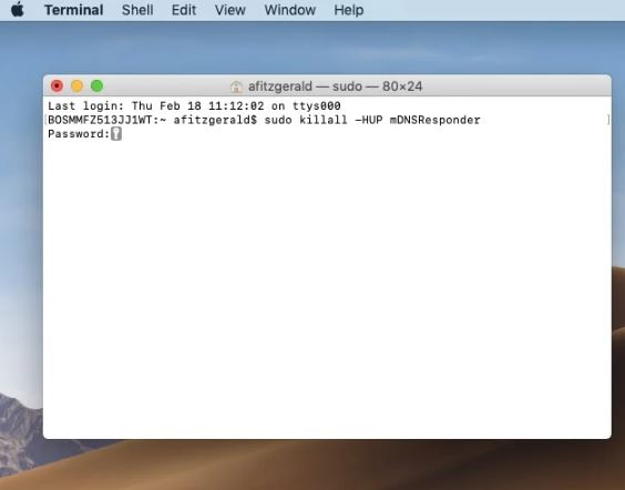 Flush DNS en Mac (ventana Terminal)