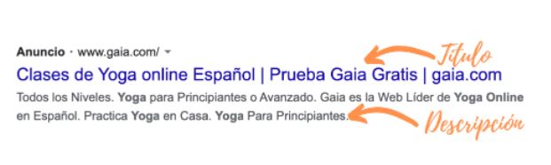 Google Ads: ejemplo de Gaia