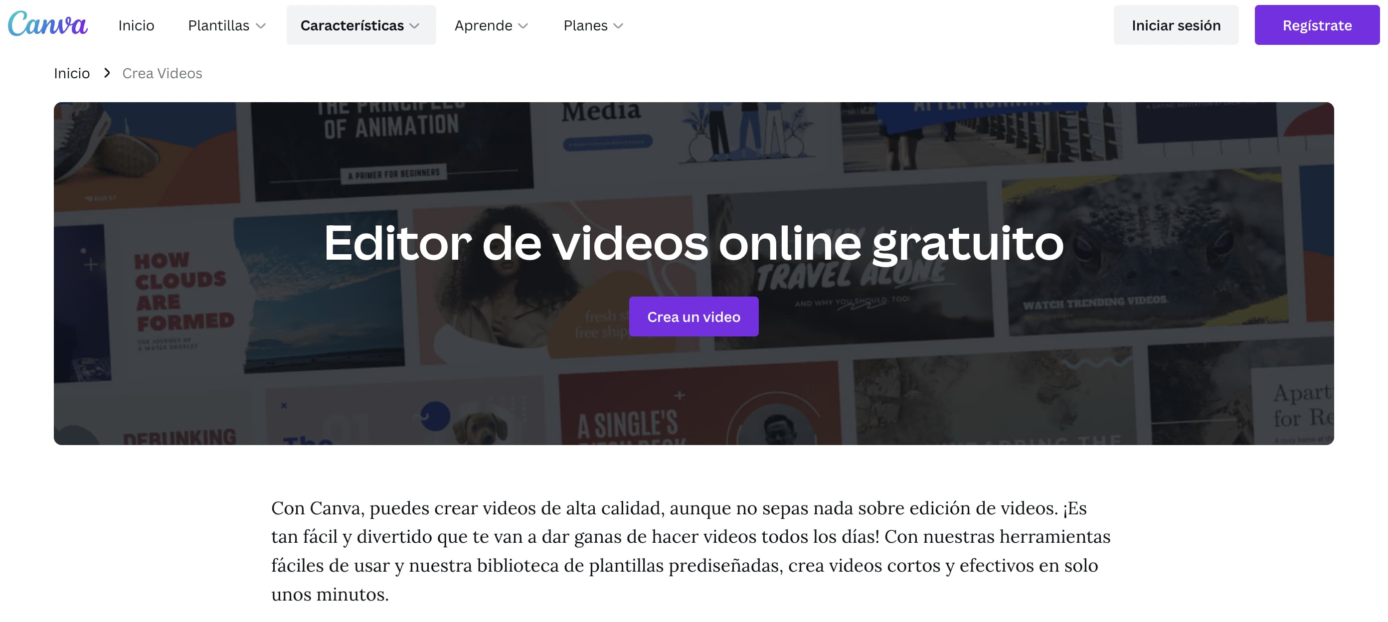 Editor de video online gratuito: Canva