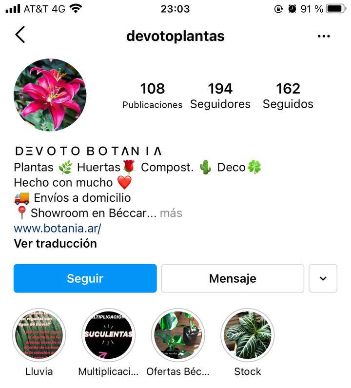 Marcas en Instagram que seguir: Botania