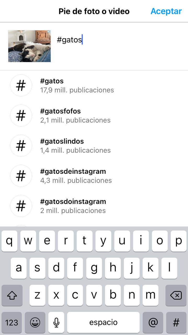 Ejemplo de cómo buscar hashtags populares para escribir pies de foto creativos en Instagram