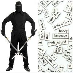 seo-ninja-costume-1