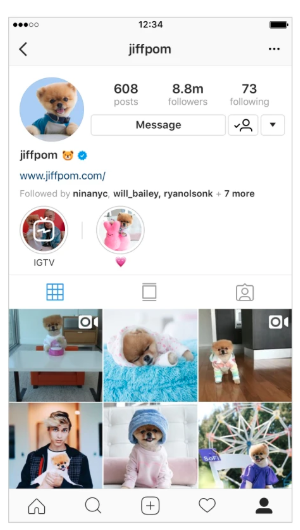 Ejemplos de videos en la cuenta de Instagram de @jiffpom